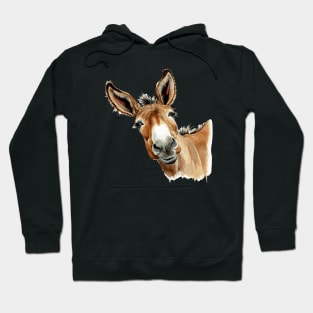 Happy Donkey Hoodie